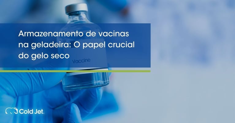 Armazenamento de vacinas na geladeira: O papel crucial do gelo seco