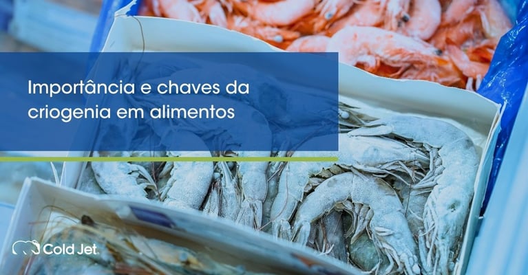 Importância e chaves da criogenia em alimentos