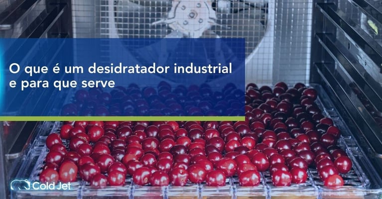 O que é um desidratador industrial e para que serve