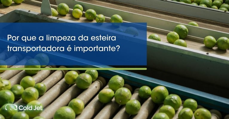 Por que a limpeza da esteira transportadora é importante?