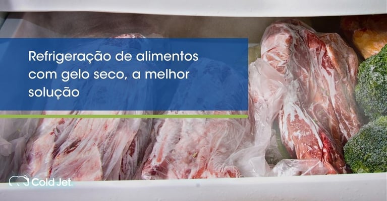 Refrigeração de alimentos com gelo seco, a melhor solução
