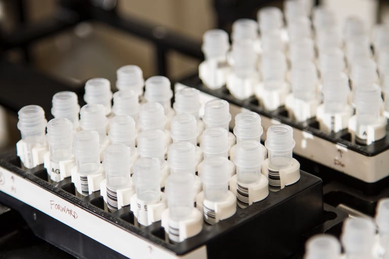 Como os fabricantes de produtos médicos estão aumentando a produção de suprimentos críticos