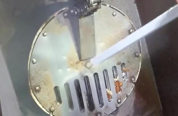 nut processing